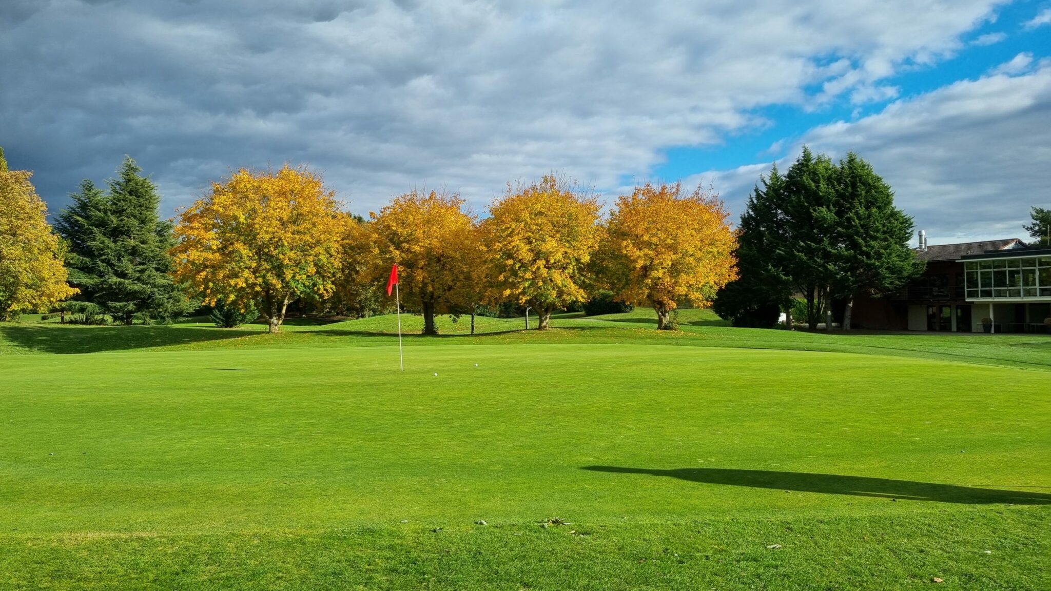 Végétation d'Automne